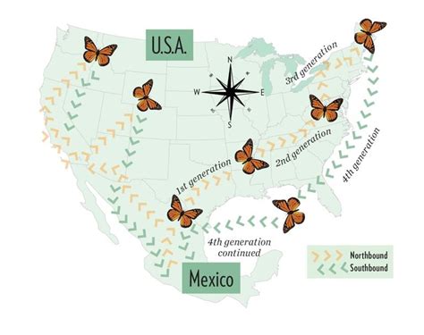 monarch flight tracker